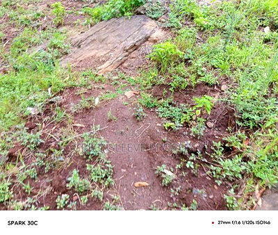 Land for Sale - Image 6