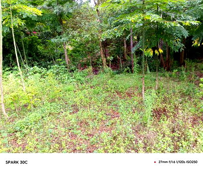 Land for Sale - Image 8
