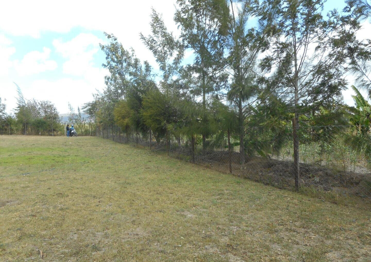 4BR Townhouse with Garden on 1.5 Acres