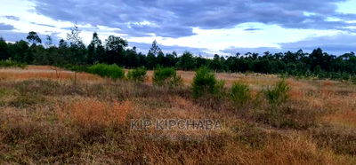 Full 1/2 Acre Plot for Sale in Kiplombe Eldoret - Image 2