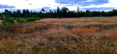 Full 1/2 Acre Plot for Sale in Kiplombe Eldoret - Image 6