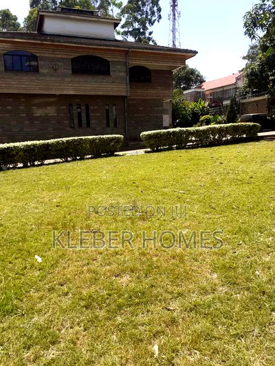 Commercial or Residential Half Acre Plot at Riverside - Image 5