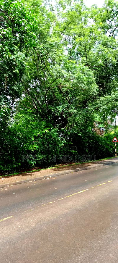Runda Water One Acre on Sale - Image 3