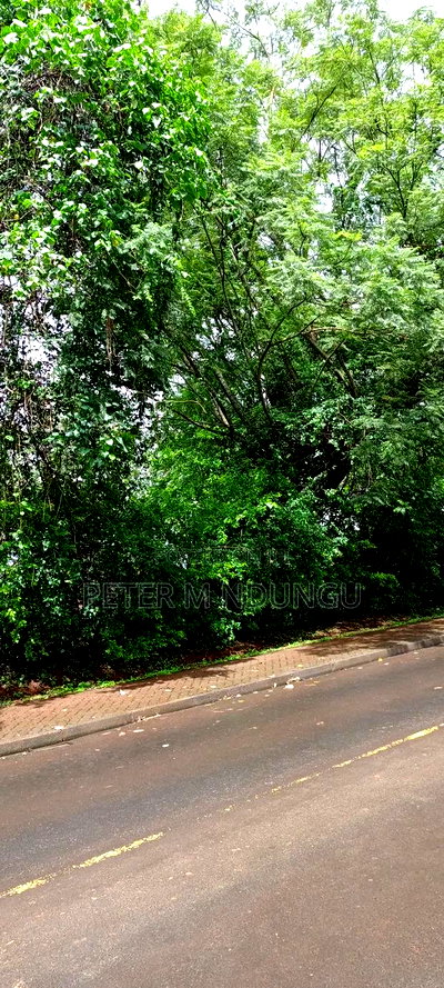 Runda Water One Acre on Sale - Image 4