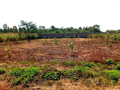 Plot for Sale at Muhasibu Estate - Image 2