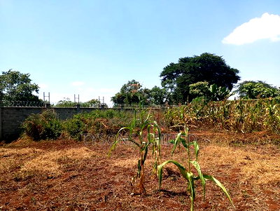 Plot for Sale at Muhasibu Estate - Image 3