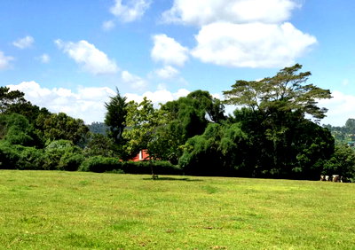 21-Acre Land with Garden in Kiambu