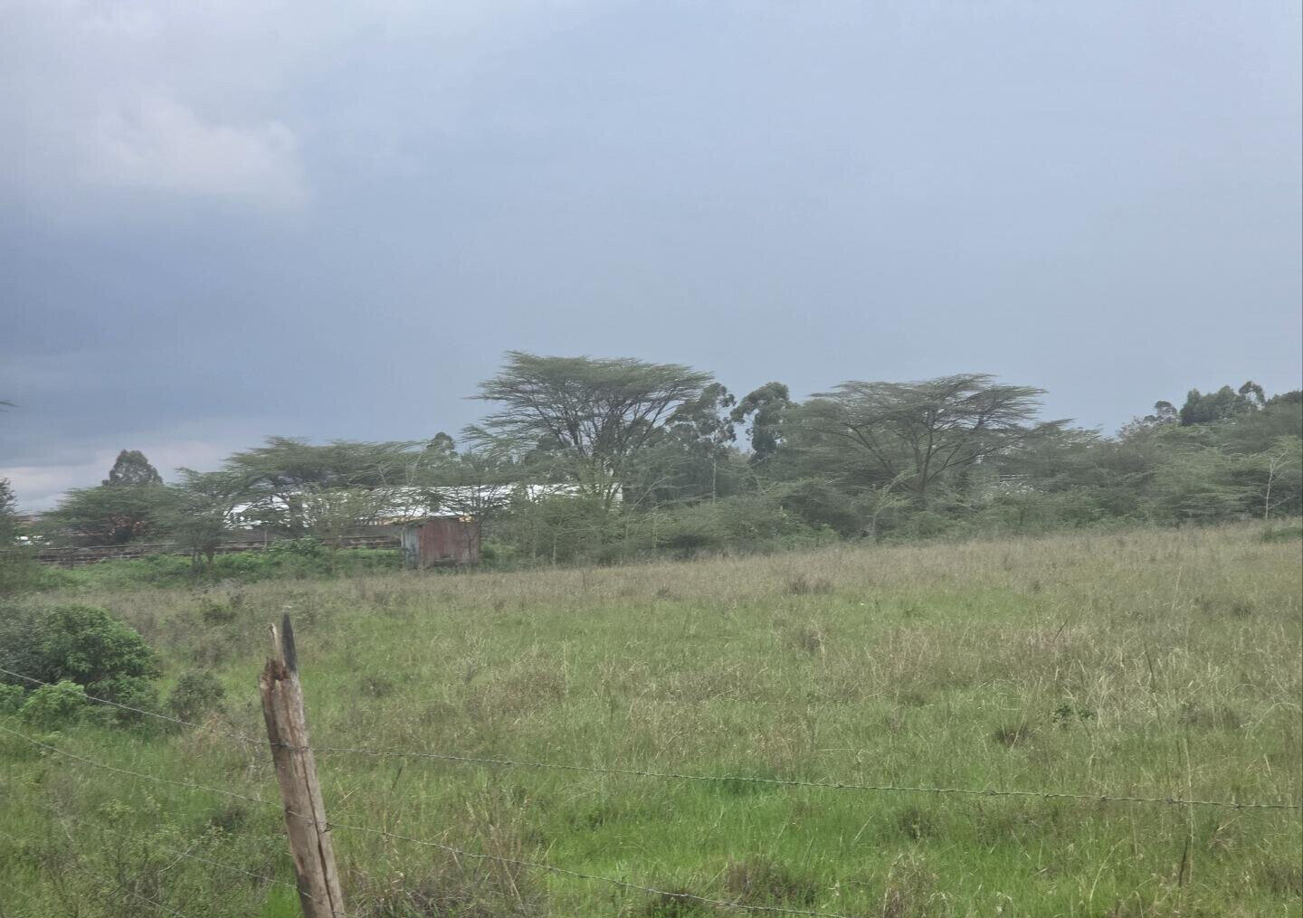11.7-Acre Karen Land at KSh 85M