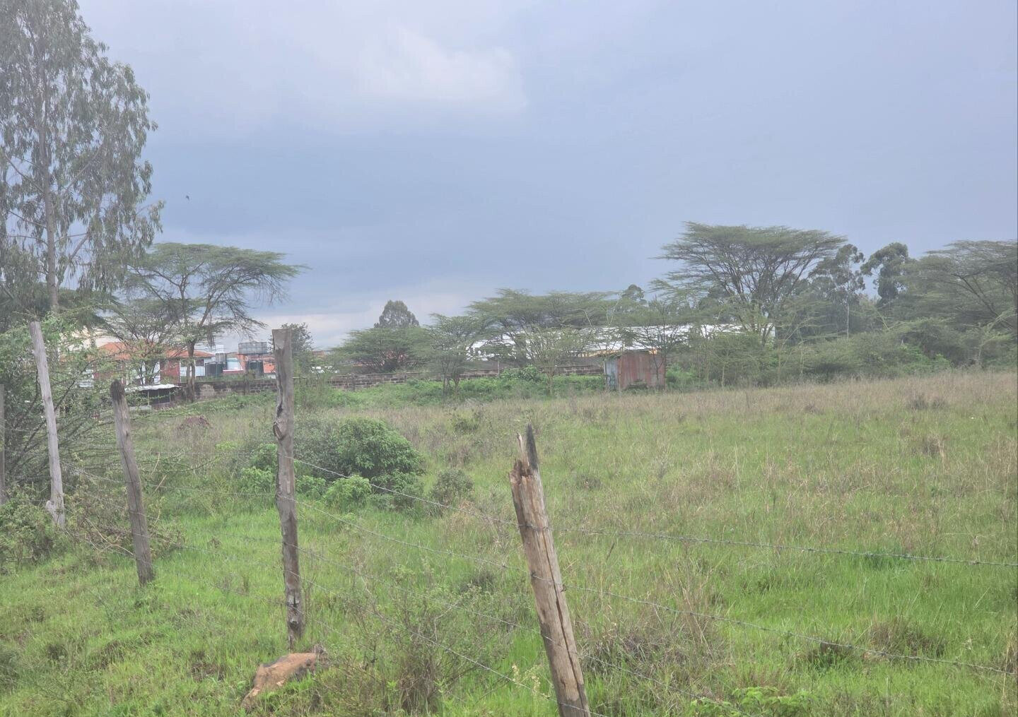 11.7-Acre Karen Land at KSh 85M