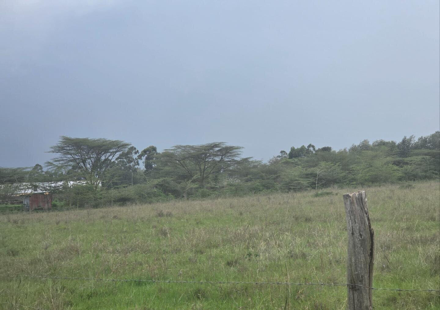 11.7-Acre Karen Land at KSh 85M