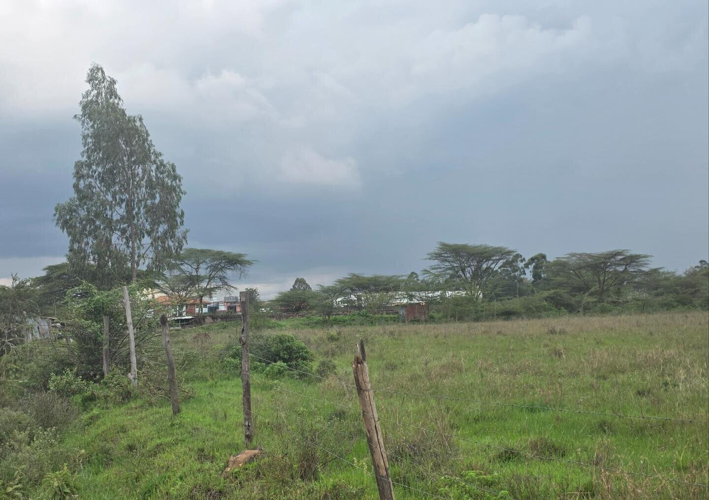 11.7-Acre Karen Land at KSh 85M