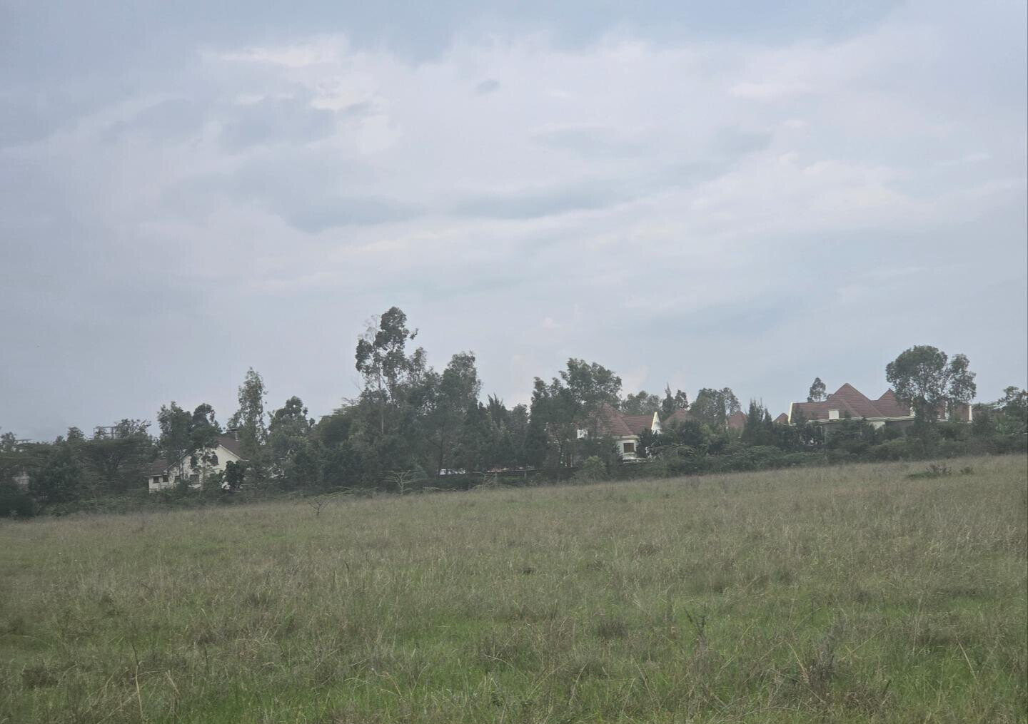 11.7-Acre Karen Land at KSh 85M