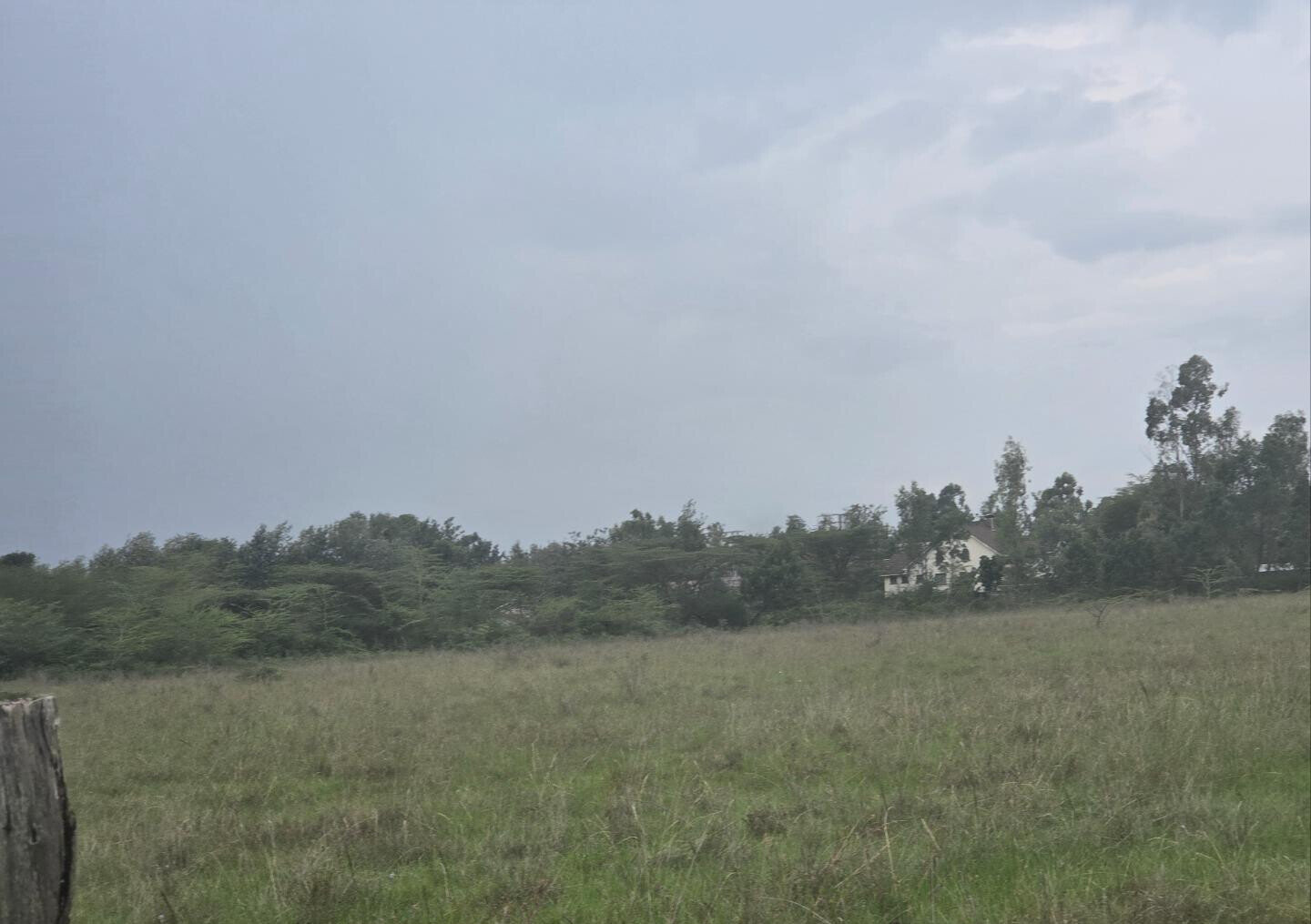 11.7-Acre Karen Land at KSh 85M