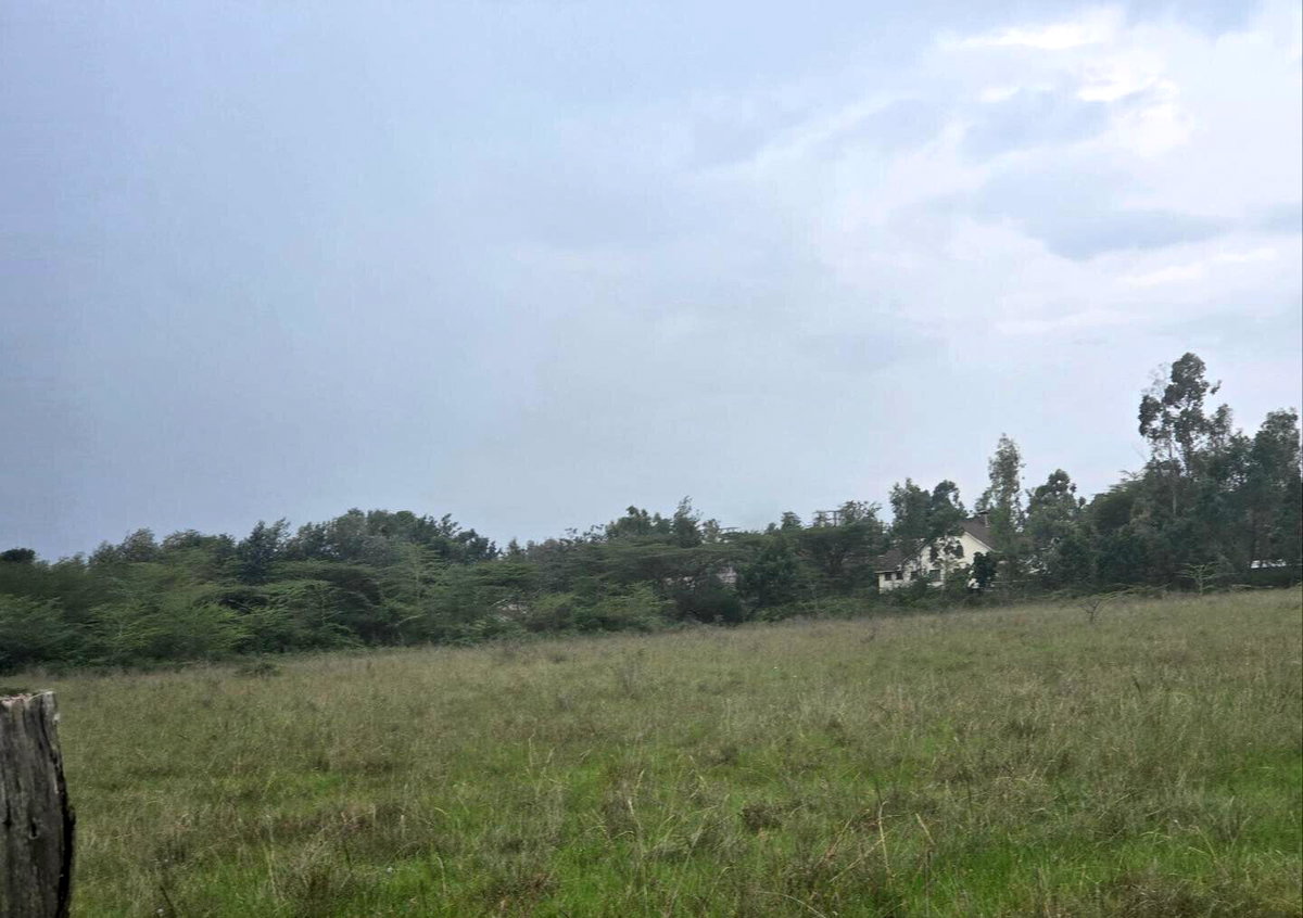 11.7-Acre Karen Land at KSh 85M