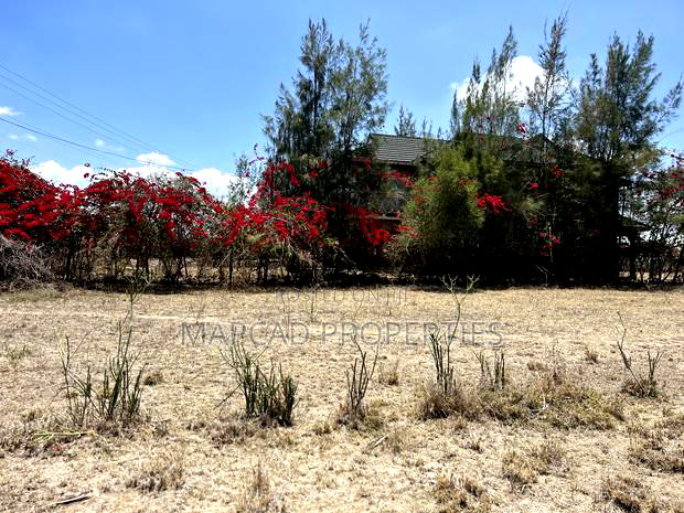100*100 Plots for Sale Kitengela Milimani Newlife