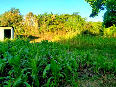 Residential Quarter Acre Gated Plot in Ongata Rongai Kandisi - Image 5