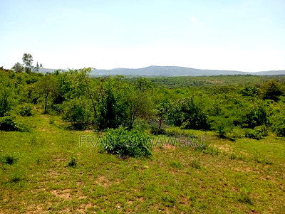 6 Acres at KSH 1.3M Each,In Mananja, Kenol-Makutano Highway. - Image 6