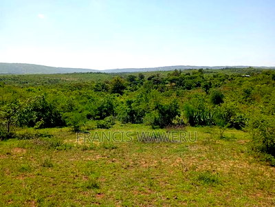 6 Acres at KSH 1.3M Each,In Mananja, Kenol-Makutano Highway. - Image 10