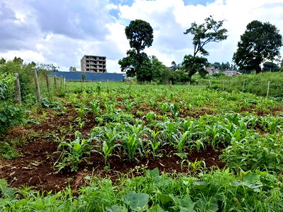 50x100 Available Plot for Sale in Ruaka Muchatha - Image 4