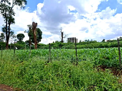 50x100 Available Plot for Sale in Ruaka Muchatha - Image 5