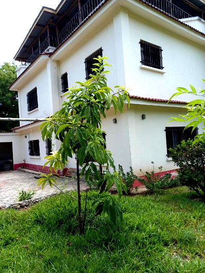 For Sale 4 Bedrooms Massionate Malindi - Image 1