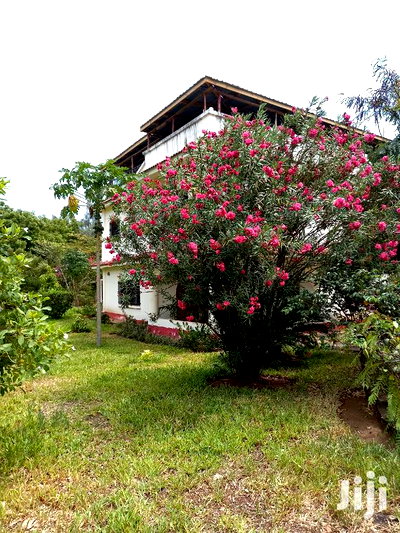 For Sale 4 Bedrooms Massionate Malindi - Image 7