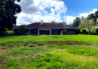 Half Acre Garden Oasis at KSh 300K