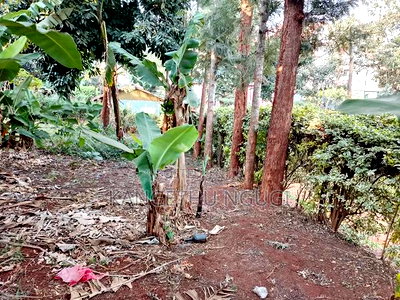 Quarter Acre Commercial Plot Kiambu Town - Image 3