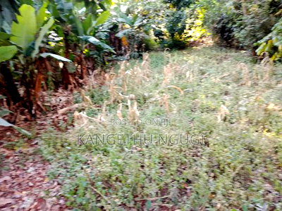 Quarter Acre Commercial Plot Kiambu Town - Image 4