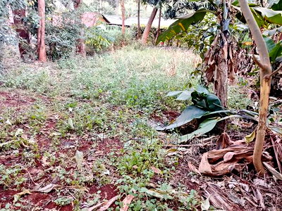 Quarter Acre Commercial Plot Kiambu Town - Image 7