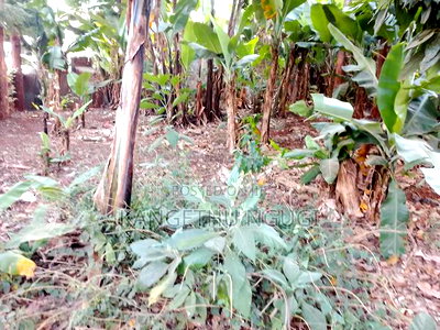 Quarter Acre Commercial Plot Kiambu Town - Image 2