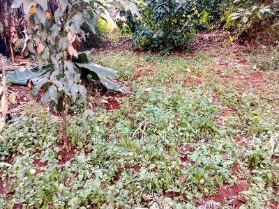 Quarter Acre Commercial Plot Kiambu Town - Image 8