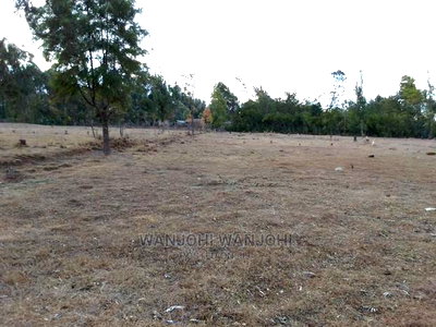 Prime Plots in Nyahururu Oljoroorok - Image 2