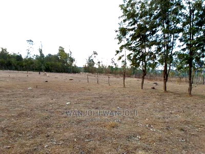 Prime Plots in Nyahururu Oljoroorok - Image 3