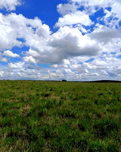 Quarter Acre Plot in Konza Tecno City