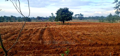 Prime 5 Acres Land for Sale in Cheplasgei Eldoret - Image 4