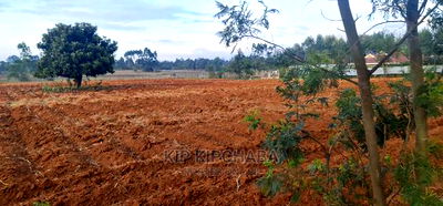 Prime 5 Acres Land for Sale in Cheplasgei Eldoret - Image 3
