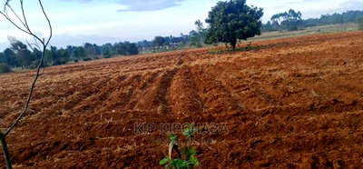 Prime 5 Acres Land for Sale in Cheplasgei Eldoret - Image 1