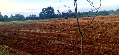 Prime 5 Acres Land for Sale in Cheplasgei Eldoret - Image 2