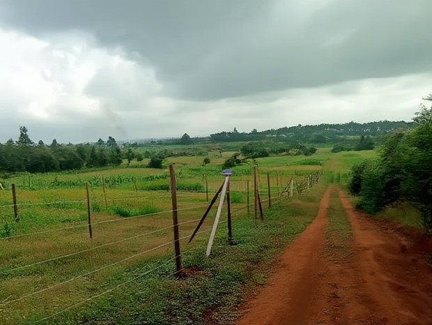 Residential 50 X 100ft Plot for Sale in Kamangu Ng'Amba Area