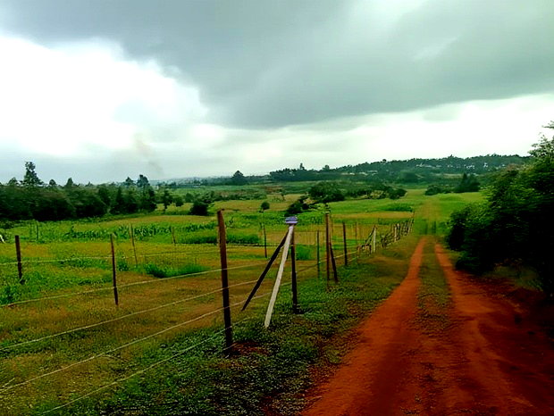 Residential 50 X 100ft Plot for Sale in Kamangu Ng'Amba Area