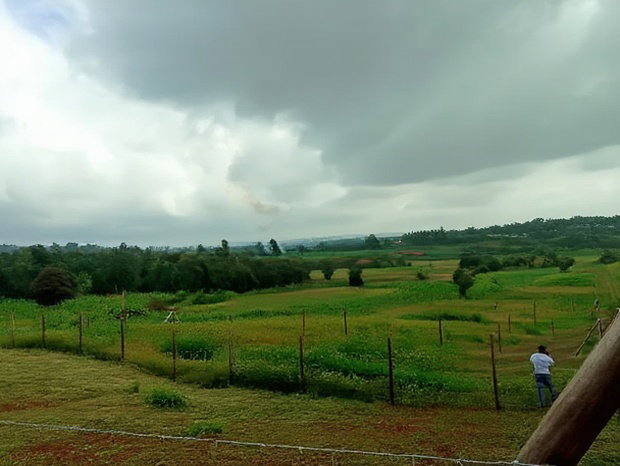Residential 50 X 100ft Plot for Sale in Kamangu Ng'Amba Area