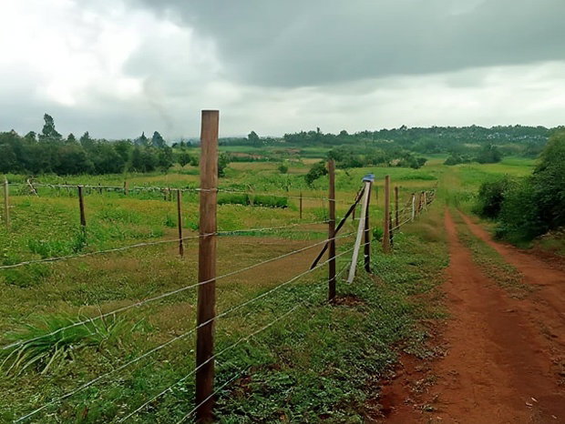 Residential 50 X 100ft Plot for Sale in Kamangu Ng'Amba Area