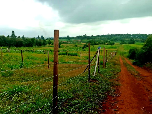 Residential 50 X 100ft Plot for Sale in Kamangu Ng'Amba Area