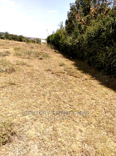 Sharon'S Sabaki Land - Image 1