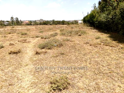 Sharon'S Sabaki Land - Image 3