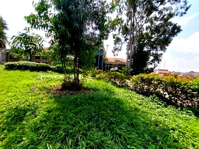 Kasarani Prime and Commercial 1 Acre Plot for Sale - Image 9