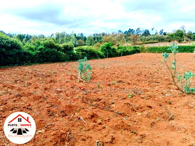 Residential Plots for Sale in Kikuyu, Gikambura! - Image 6