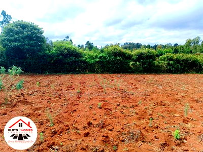 Residential Plots for Sale in Kikuyu, Gikambura! - Image 7