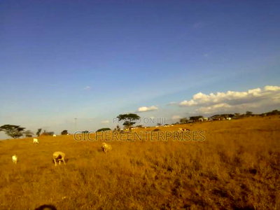 Kajiado Lsinya - Image 7